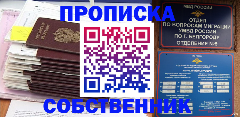 прописка законно в Змеиногорске